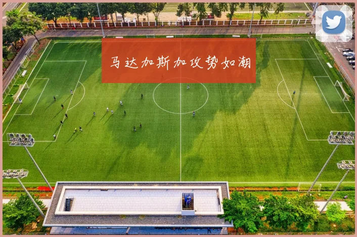 马达加斯加攻势如潮
