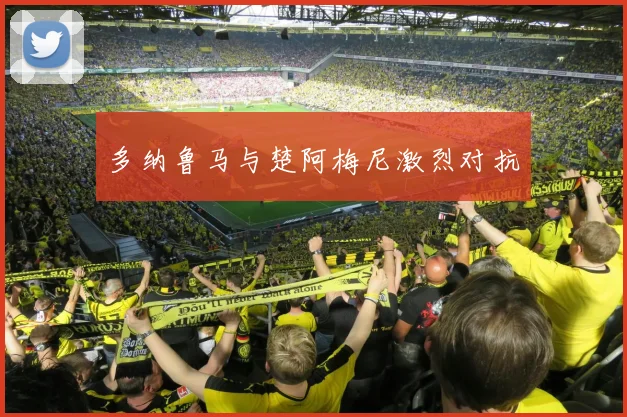 多纳鲁马与楚阿梅尼激烈对抗