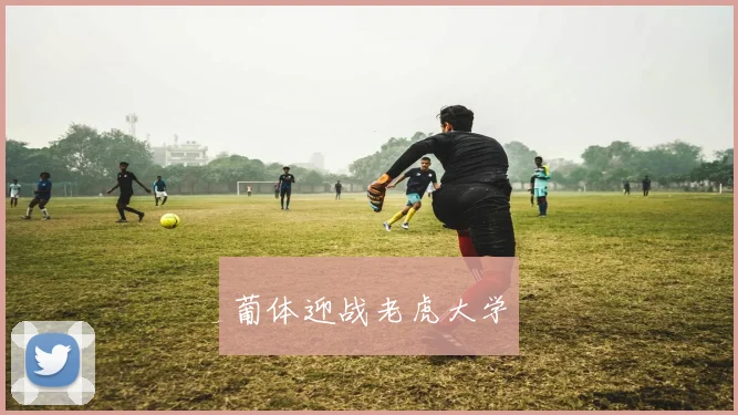 葡体迎战老虎大学