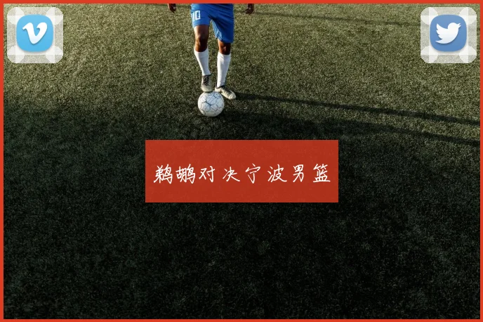 鹈鹕对决宁波男篮