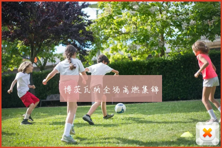 博茨瓦纳全场高燃集锦