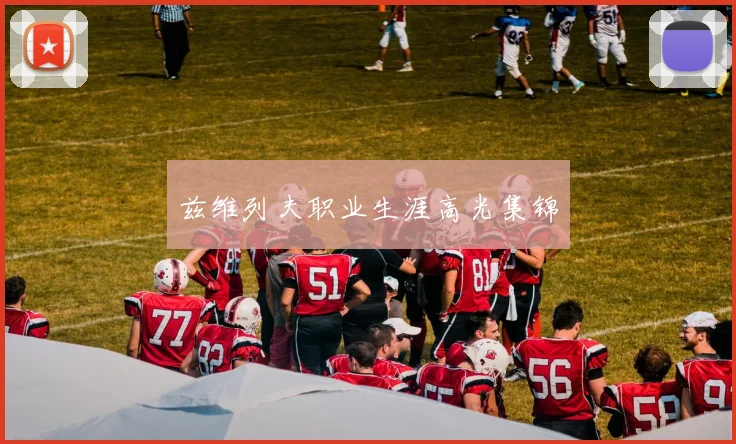兹维列夫职业生涯高光集锦