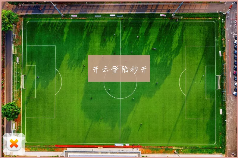 开云登陆秒开