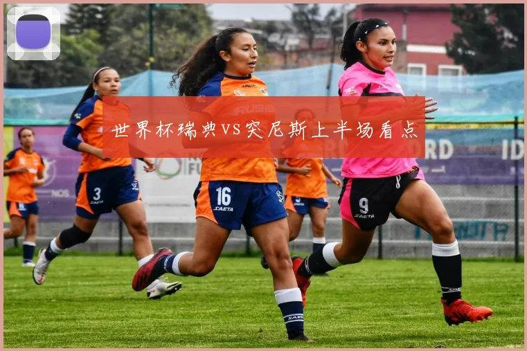 世界杯瑞典vs突尼斯上半场看点